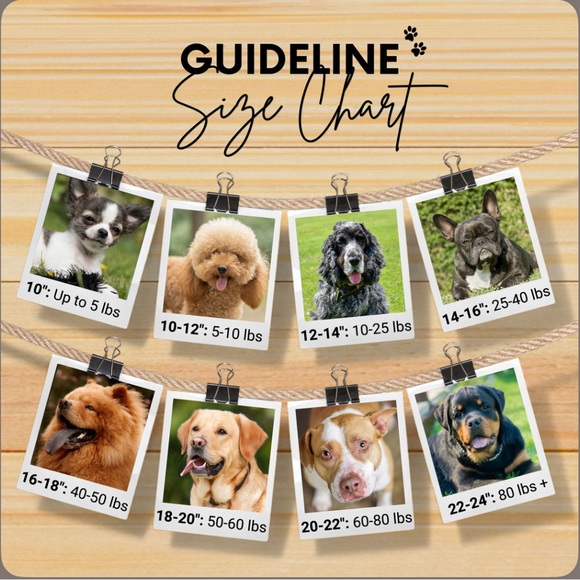 New Limited Edition Sambboho Charlotte Purple Beaded Leather Dog Collar sz 20-22 - Picture 11 of 16